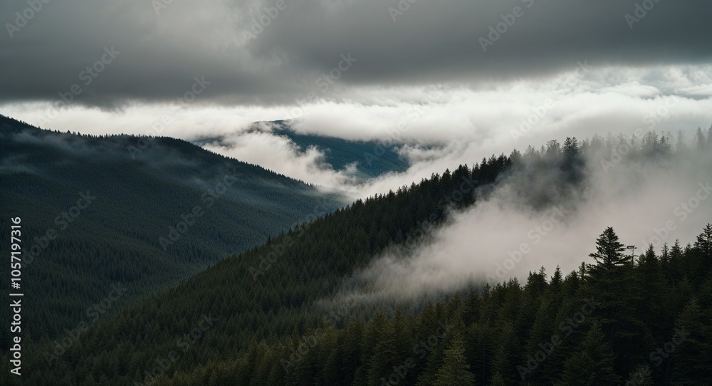 Forested mountain range with misty clouds from above Forested mountain range with misty clouds from above