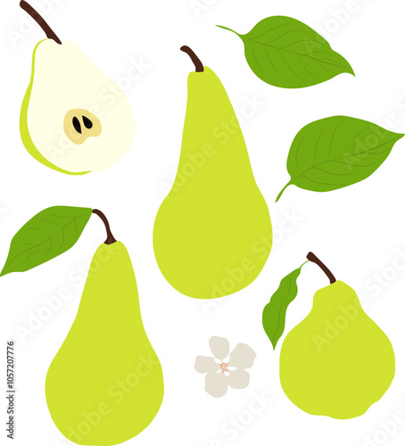 Set of pear fruit with leaves and flower elements. Groovy doodle style vector illustration for different purposes.