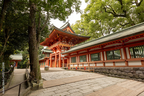 Obraz na płótnie 埼玉県さいたま市氷川神社の参道 w salonie