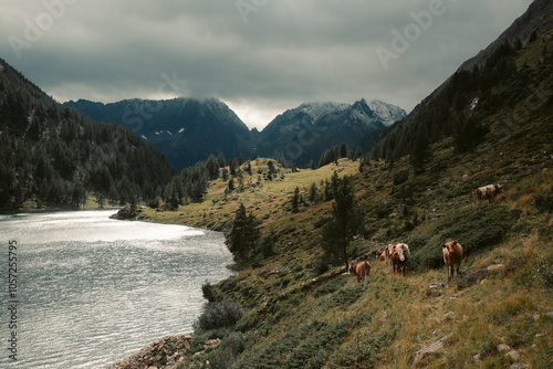 Alpine mountain scenery with lakes and peaks in Lungau, Salzburger Land, Austria photo