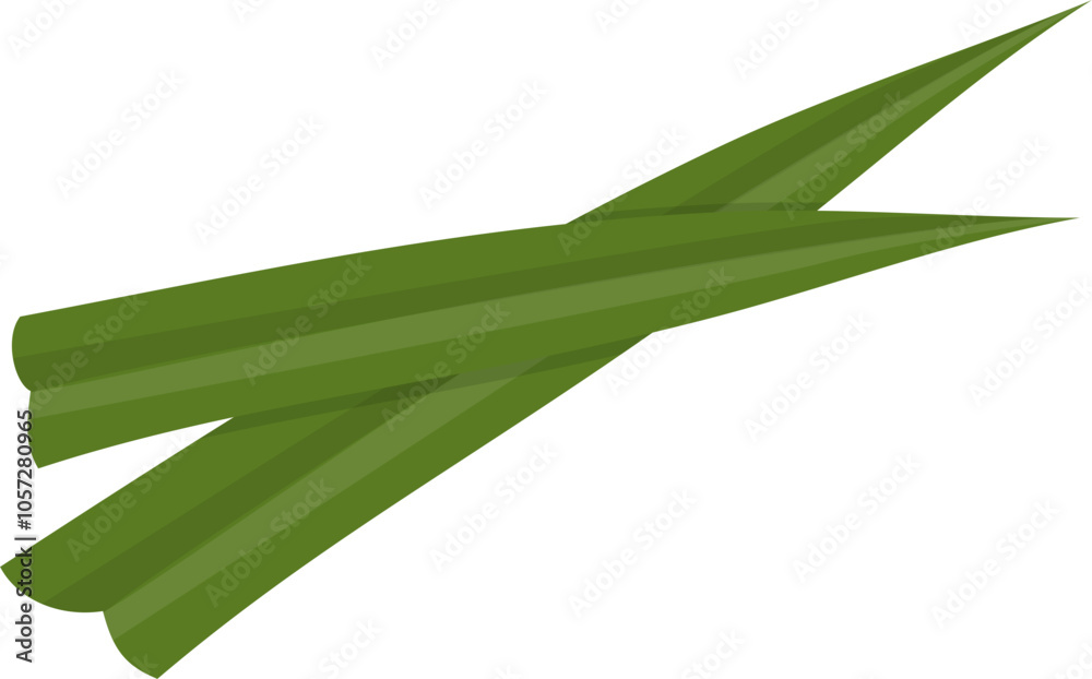 green leaf on a white background green leaf on a white background