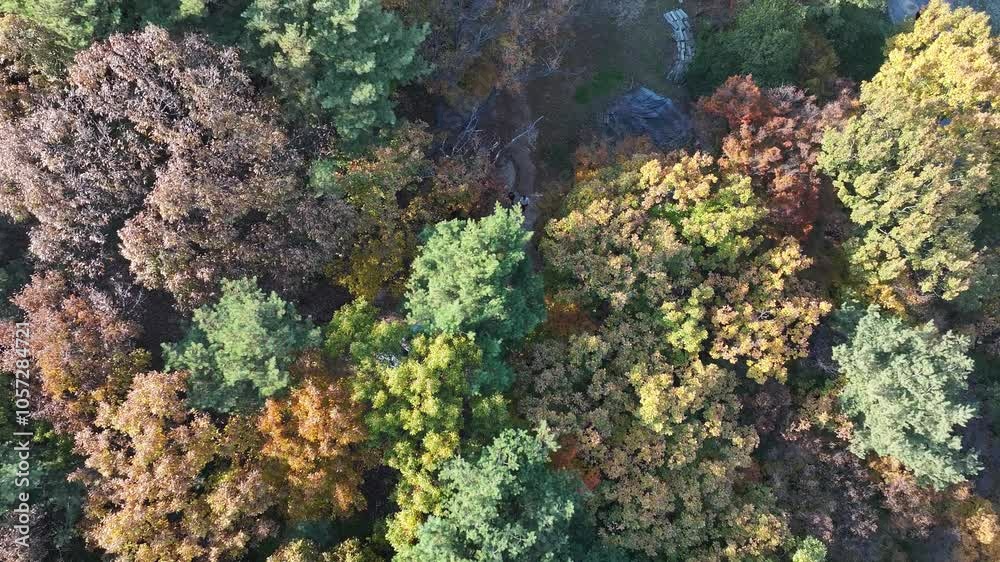 서울 가을수락산흥국사