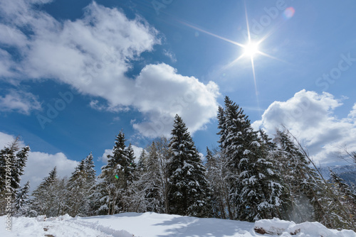  ampia vista panoramica su un bellissimo ambiente naturale innevato, nelle montagne del Friuli Venezia Giulia settentrionale, nel nord Italia, di mattina, in inverno photo