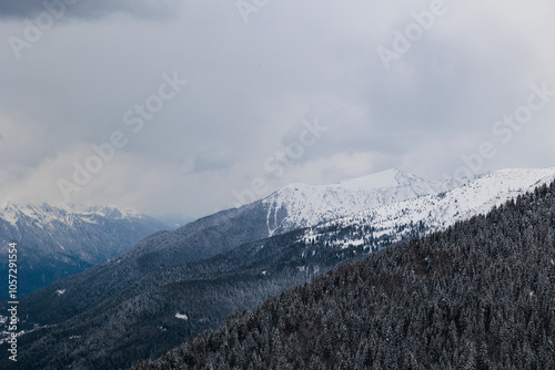 Obraz na płótnie vista dettagliata di varie catene montuose lontane, completamente innevate, in un ambiente freddo e naturale di montagna nelle Alpi Italiane a nord est, sotto un cielo nuvoloso, in inverno w salonie