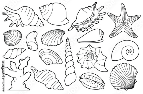 Hand drawn sea shells set with doodle style. line art sea shell background vector illustration.