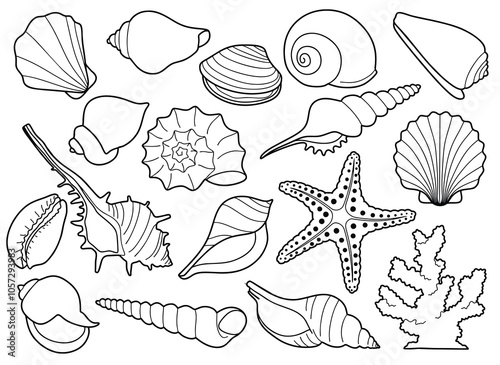 Hand drawn sea shells set with doodle style. line art sea shell background vector illustration.