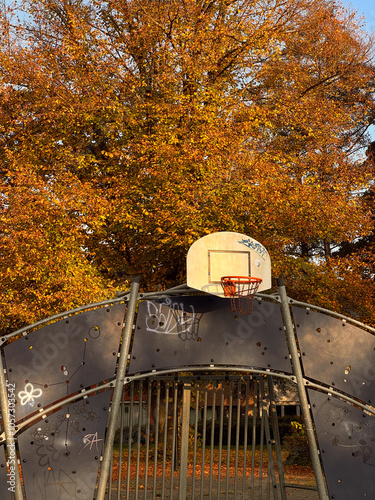 Graffiti-Covered Basketball Hoop among Autumn Trees in Evening Sunlight photo