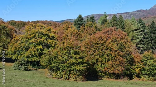 View of the peak of San Vicino mount in the Marche region during autumn day of October, Italy photo