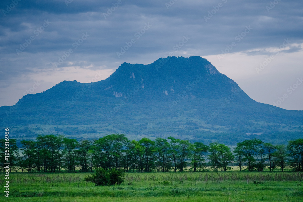 Naklejka premium Landscape of savanna with mountain