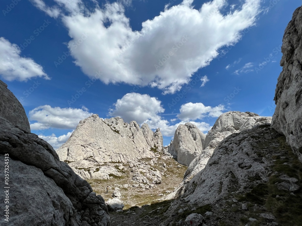 Obraz premium Rocky ridge of Tulove grede or karst mountain peak of Tulovice - Velebit Nature Park, Croatia (Stjenoviti greben Tulove grede ili krški planinski vrh Tulovice - Park prirode Velebit, Hrvatska)