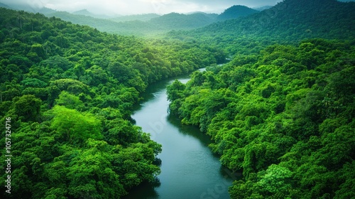 Aerial view of lush green forest symbolizing environmental protection showcasing a healthy ecosystem and the importance of preserving our planet