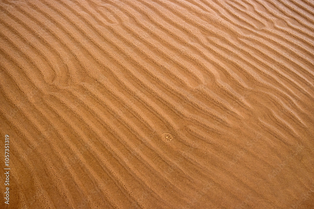 Closeup of sand ripples on a beach. Natural rhythmic wave like pattern formed by wind and water. Textured background displaying the delicate wavy texture of coastal landscape. Closeup of sand ripples on a beach. Natural rhythmic wave like pattern formed by wind and water. Textured background displaying the delicate wavy texture of coastal landscape.