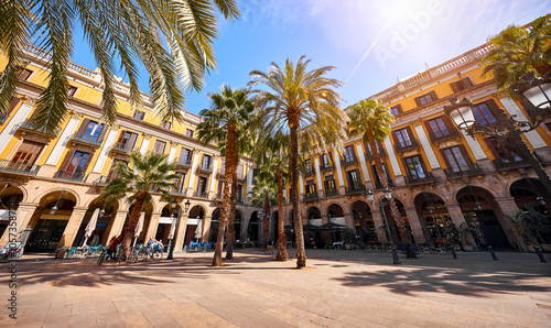 Royal Square in Barcelona, Catalonia, Spain. High palm trees among traditional Spanish architecture at main central square of old town. Summer barcelona landscape with blue sky.