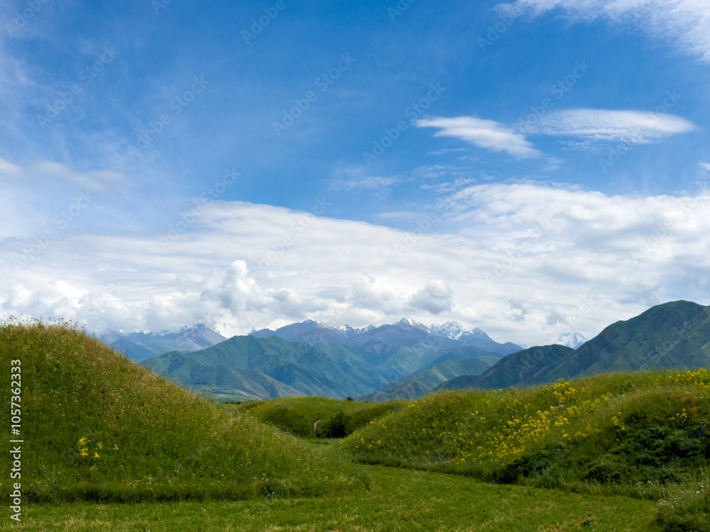 Fototapeta premium Green hilly landscape with scenic mountains in the background under a clear blue sky in the foothills of Kyrgyzstan.