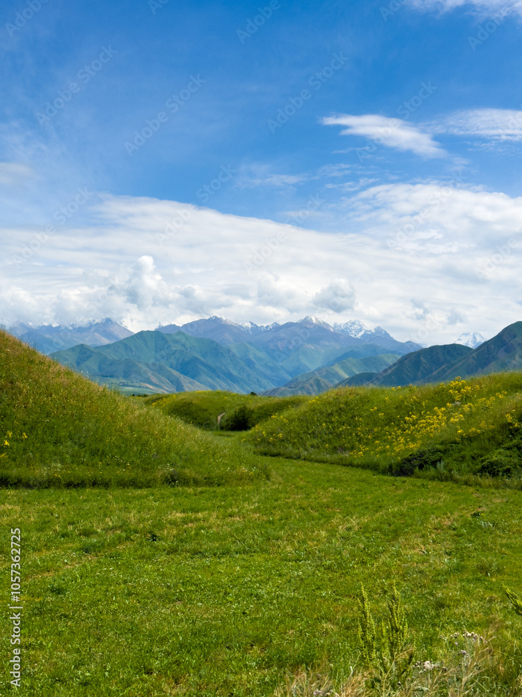 Green hilly landscape with scenic mountains in the background under a clear blue sky in the foothills of Kyrgyzstan. Green hilly landscape with scenic mountains in the background under a clear blue sky in the foothills of Kyrgyzstan.