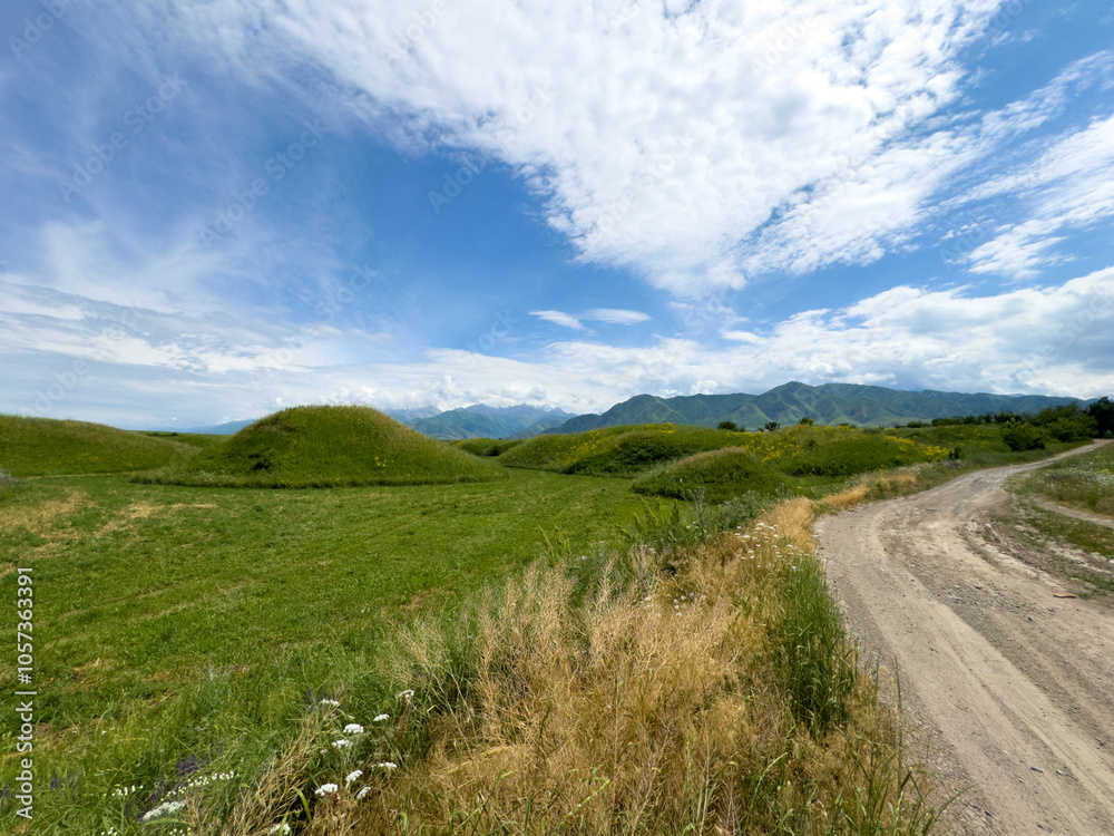 Spring landscape with wildflowers and a dirt road leading through a blooming field under a blue sky in the foothills of Kyrgyzstan. Spring landscape with wildflowers and a dirt road leading through a blooming field under a blue sky in the foothills of Kyrgyzstan.
