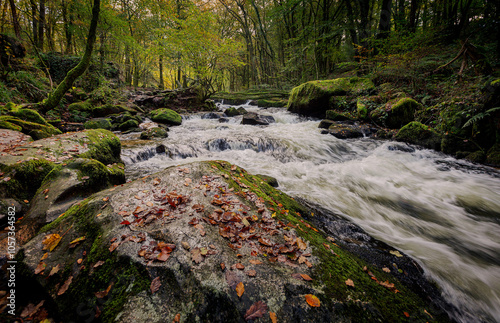 Golitha falls, 