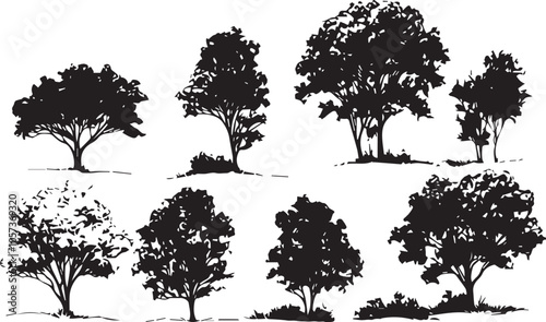 Set Trees. Hand drawn vector illustration 