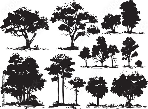 Set Trees. Hand drawn vector illustration 