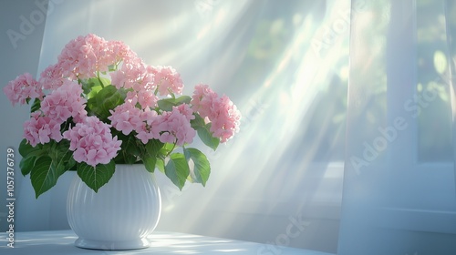 A bouquet of hydrangea flowers in a white vase on a white table with ray of Sunshine coming through the window