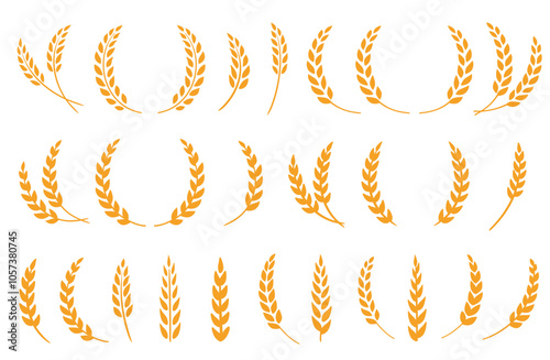 Wheat spikes, barley sheaf with grain set