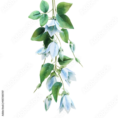 Watercolor clipart of bellflower, isolated on a white background, and bellflower vector