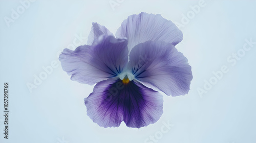 A delicate purple flower with soft petals, showcasing natural beauty and elegance.