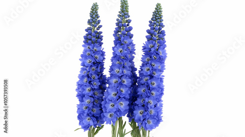 A bouquet of vibrant blue delphinium flowers arranged elegantly. photo