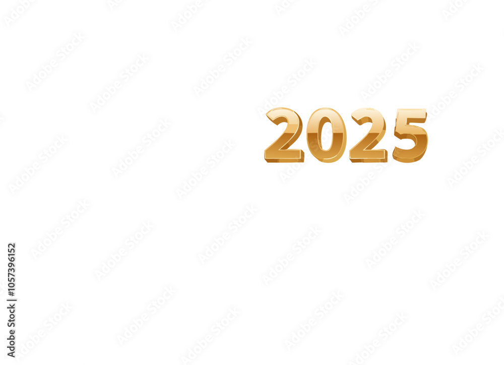 2025 2025