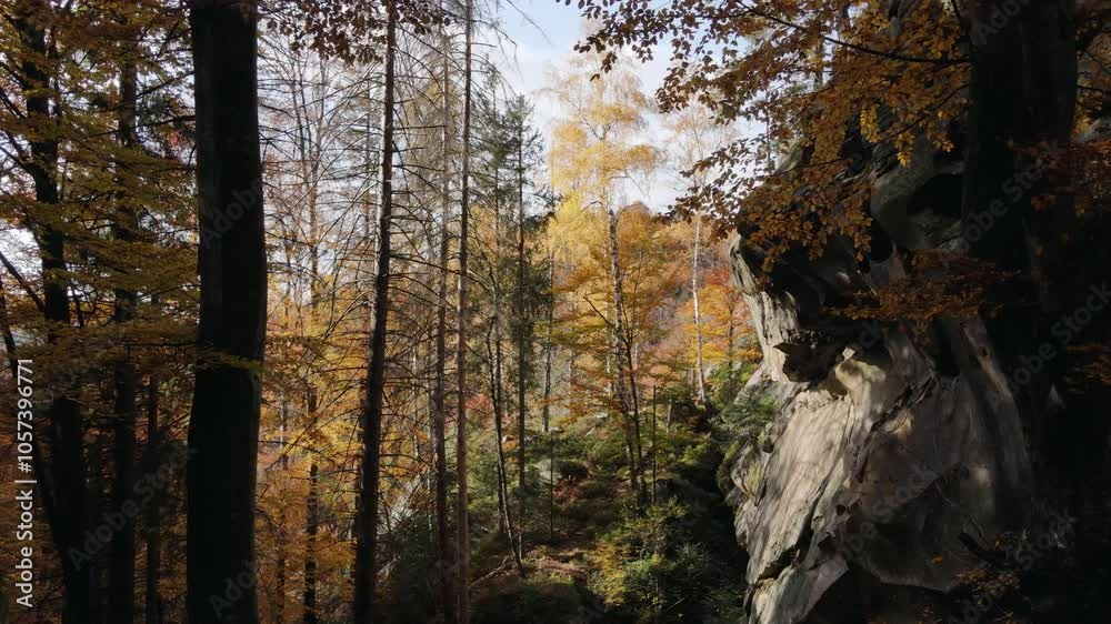 Aerial drone view of enchanted autumn forest with between big stones with moss at warm sunny day. Beautiful nature wonders, outdoor travel destination concept Aerial drone view of enchanted autumn forest with between big stones with moss at warm sunny day. Beautiful nature wonders, outdoor travel destination concept
