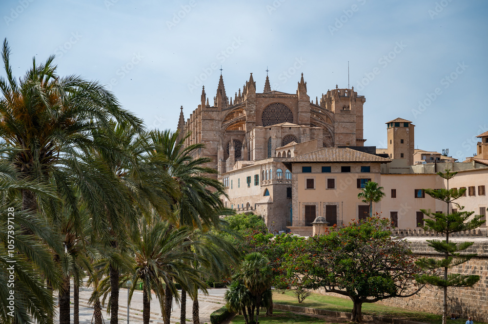Cathedral of Santa Maria of Palma, La Seu, palm trees in front, back side of the cathedrale, Palma de Mallorca, Spain Cathedral of Santa Maria of Palma, La Seu, palm trees in front, back side of the cathedrale, Palma de Mallorca, Spain