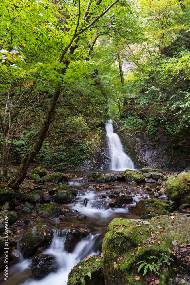 Obraz premium 秋の栃木県那須塩原市風挙の滝