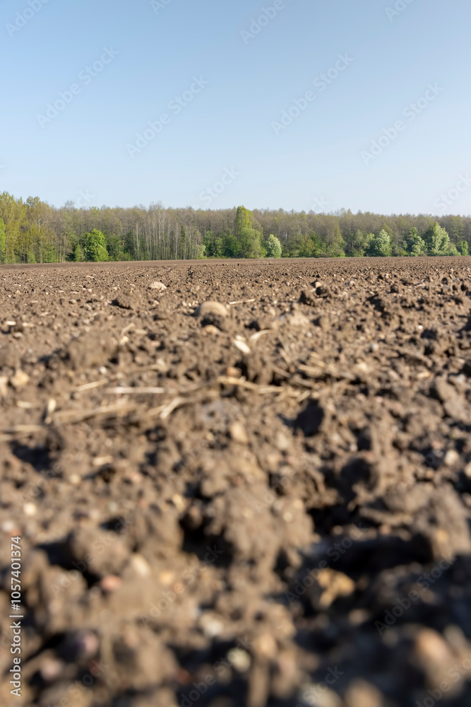 Fototapeta premium fertile soil in spring during the preparation for sowing