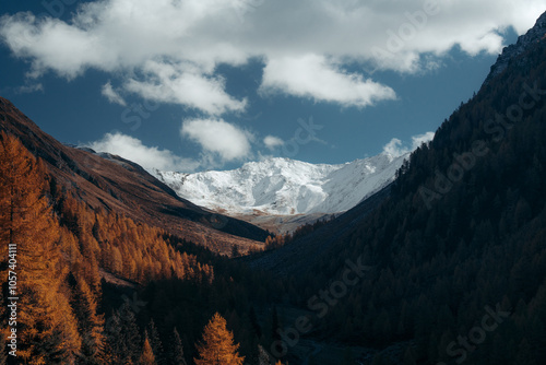 Obraz na płótnie Stunning autumn mountain scenery in the Alps with snowcapped mountain tops and golden larches in fall w salonie