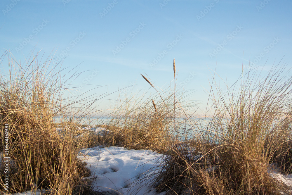 Fototapeta premium The sea in Sweden taken from the beach during winter with beach grass in the foreground and snow