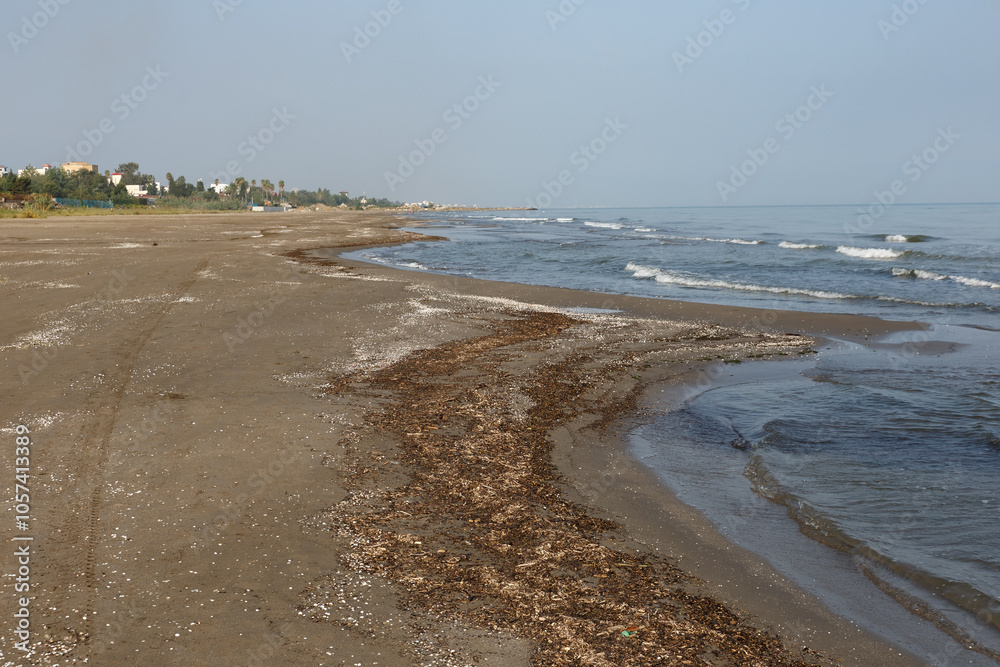 Sandy beach on the southern coast of the Caspian Sea, Iran. Algae and debris on the shore Sandy beach on the southern coast of the Caspian Sea, Iran. Algae and debris on the shore