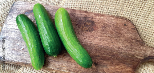 Fresh cucumbers on a wooden board close-up. Green cucumber on a wooden board. Small green cucumbers on the table. Juicy cucumbers for cooking. Fresh healthy vegetables. Cooking and recipes.