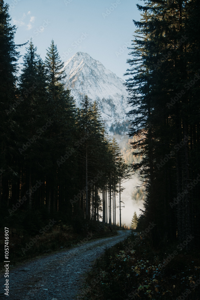 Alpine scenery with forest road and snowcapped mountain tops in Lungau region, Salzburg Land, Austria