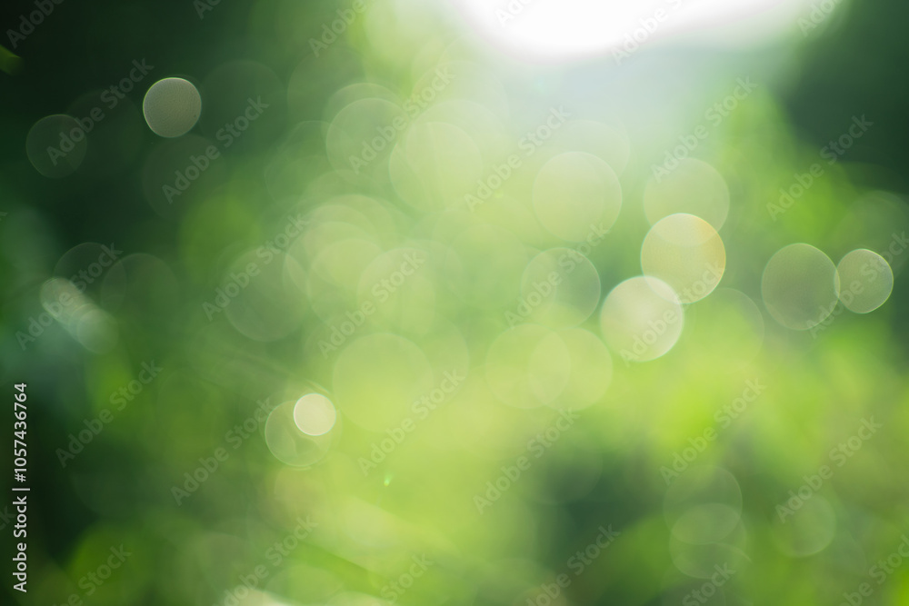 A blurry green background with a few green circles A blurry green background with a few green circles