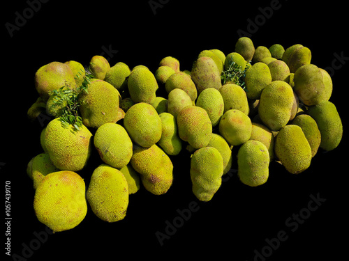 Huge stocks of The jackfruit at roadside shops. It is a species of tree in the fig, mulberry, and breadfruit family. The jackfruit is the largest tree fruit. Scientific name: Artocarpus heterophyllus. photo