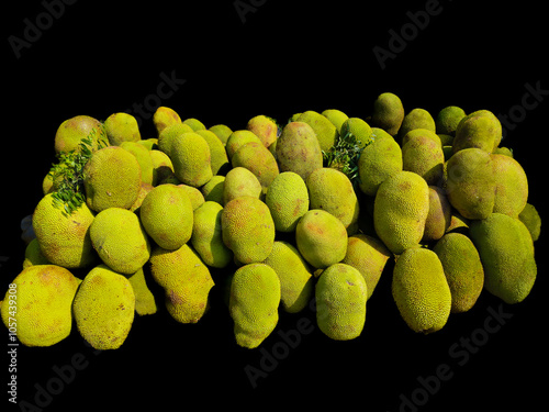 Huge stocks of The jackfruit at roadside shops. It is a species of tree in the fig, mulberry, and breadfruit family. The jackfruit is the largest tree fruit. Scientific name: Artocarpus heterophyllus. photo