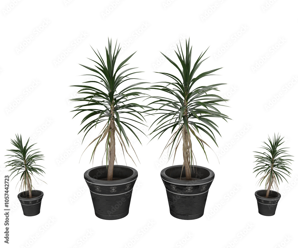 Obraz premium 3d rendering plant with pot