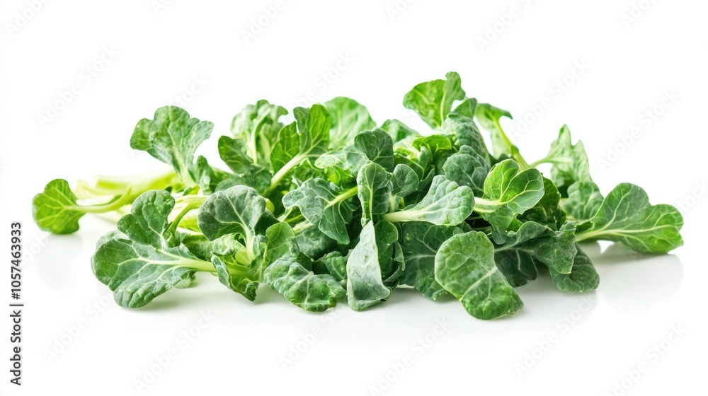 Baby broccoli cabbage isolated on a white backdrop Baby broccoli cabbage isolated on a white backdrop