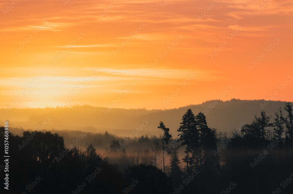 Tree silhouette in morning autumn fog at sunrise. Czech landscape background