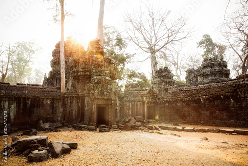 Cambodia, Angkor, Ta Prohm temple, Tomb Raider film location
