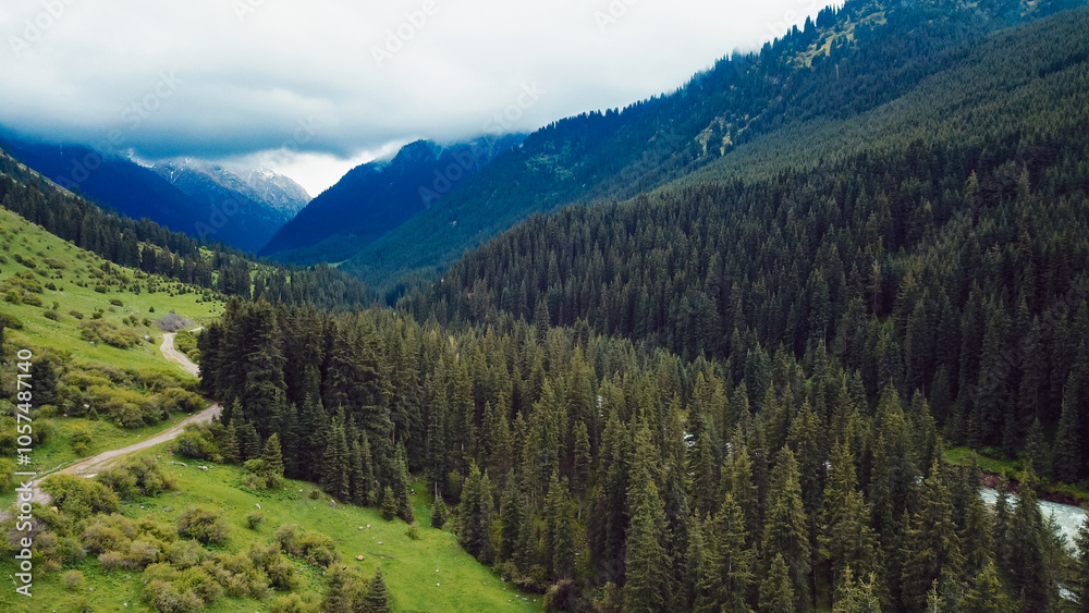 Breathtaking landscape of Kyrgyzstans lush forests and mountains on a cloudy day Breathtaking landscape of Kyrgyzstans lush forests and mountains on a cloudy day