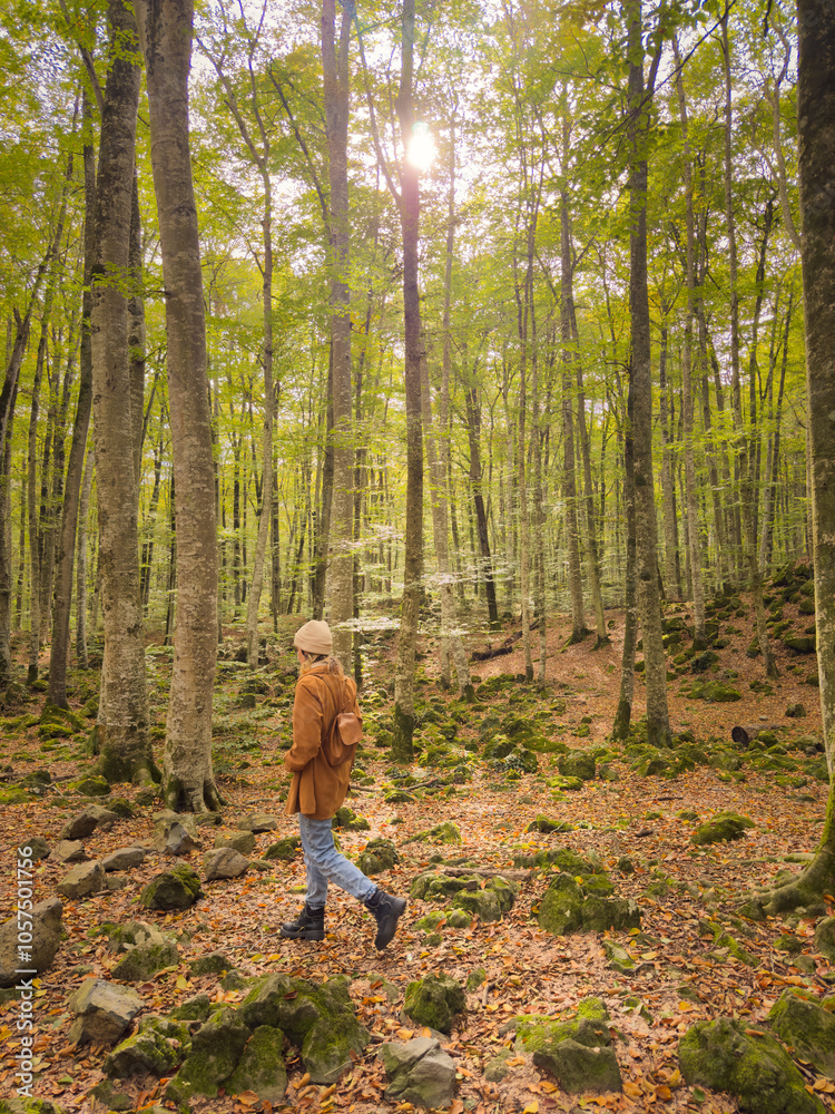 A person is walking through a forest with a hat on A person is walking through a forest with a hat on