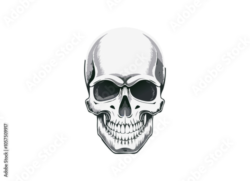 tete de mort 12