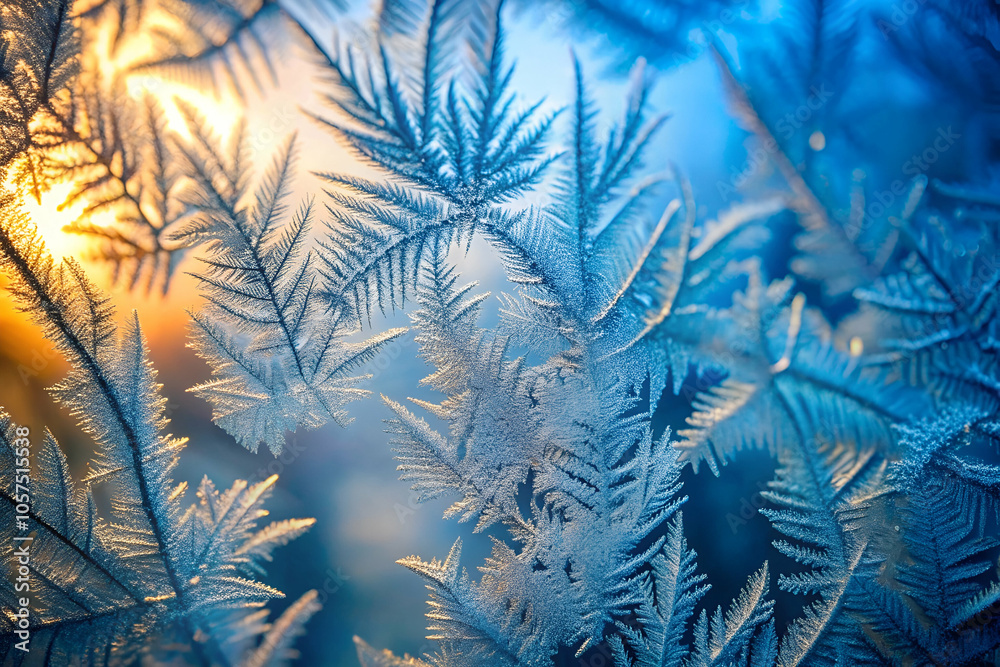 A close-up of frosty leaves, showcasing intricate ice patterns illuminated by warm and cool light. A close-up of frosty leaves, showcasing intricate ice patterns illuminated by warm and cool light.