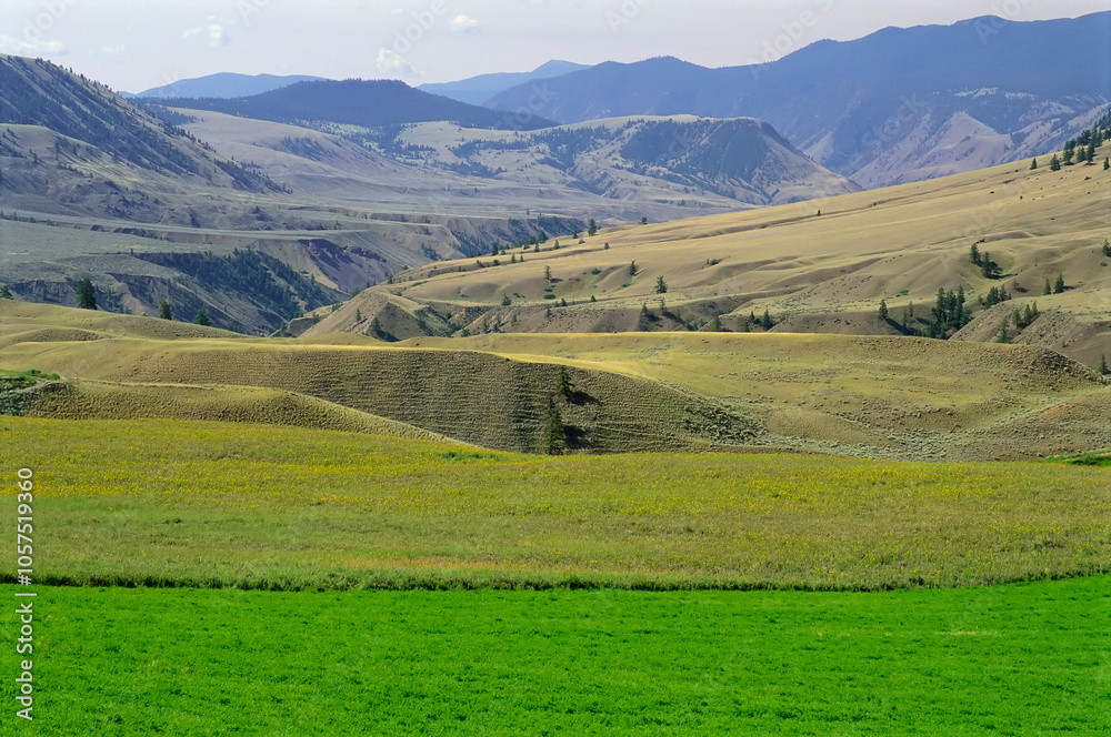 Green vegetation covers the landforms in the Fraser Canyon; British Columbia, Canada Green vegetation covers the landforms in the Fraser Canyon; British Columbia, Canada